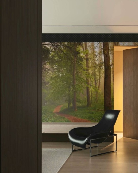 MARBURG | Forest Road Way